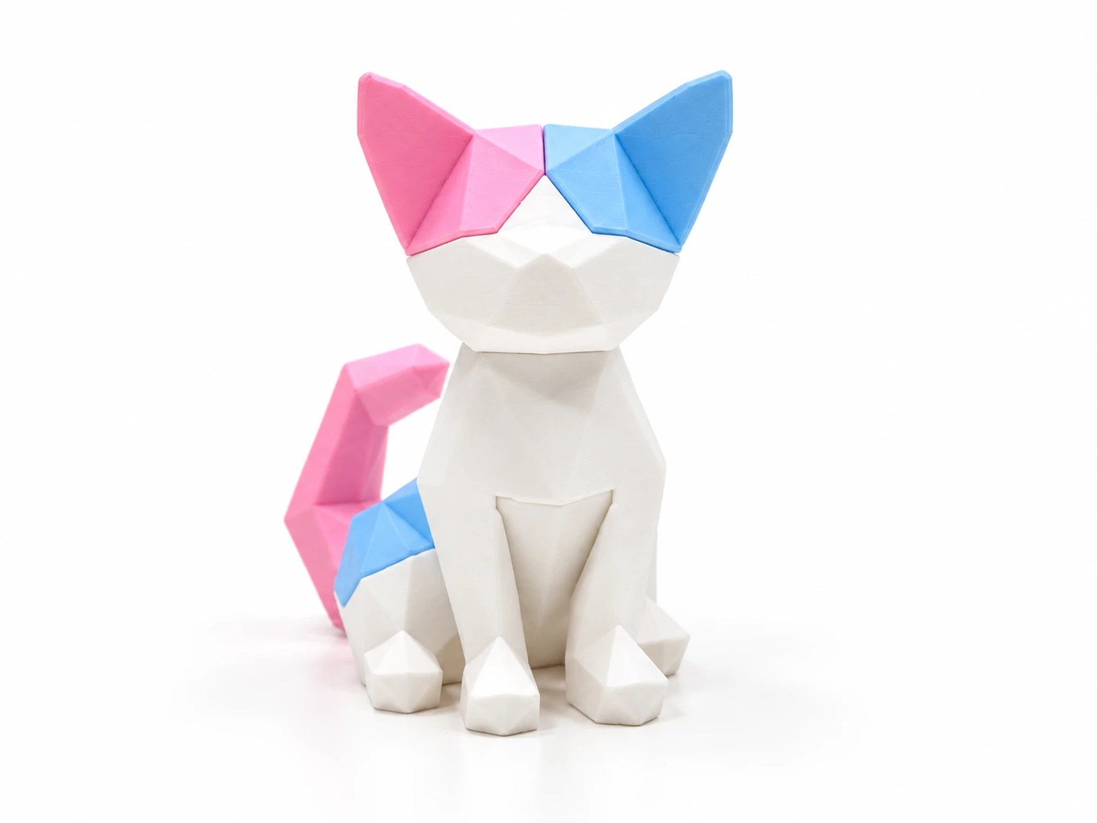 Mèo con
